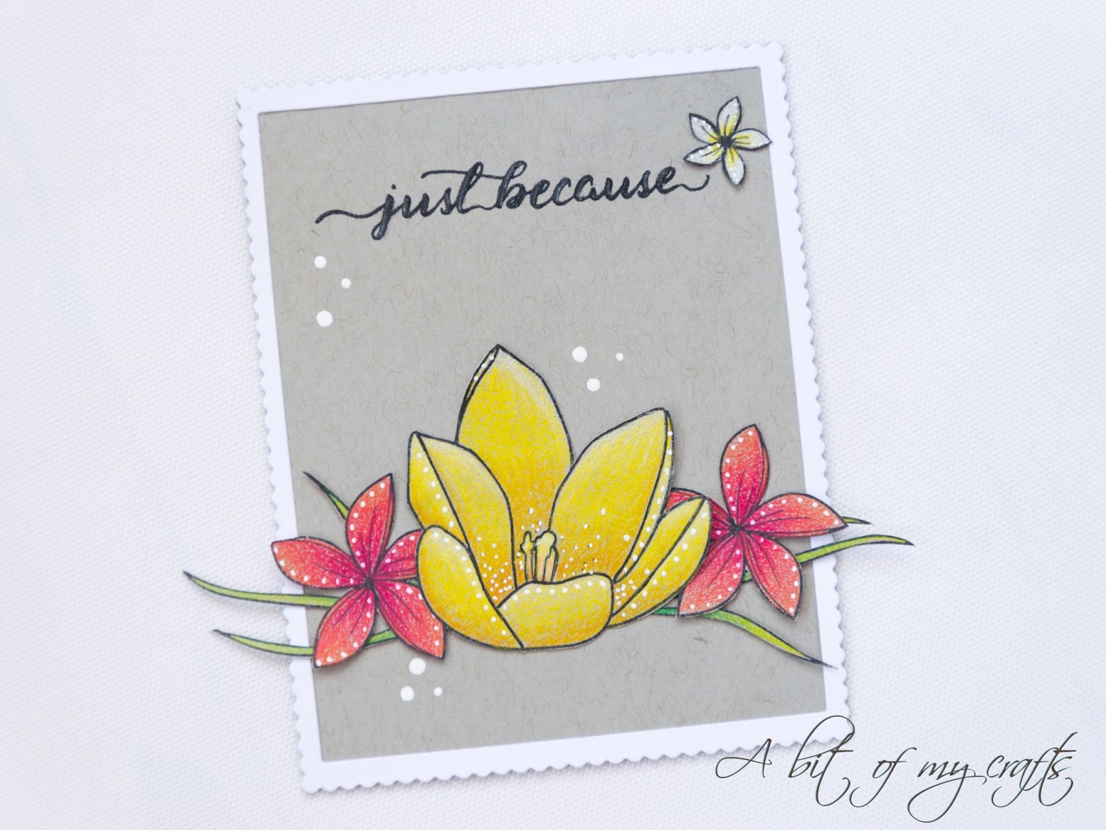 Prismacolor on toned gray cardstock feat Create a Smile stamps - Laura  Volpes